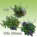 Bild von EJ Mix combi P19 Divers